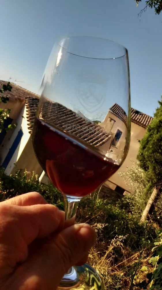 Glass of Gigondas Wine